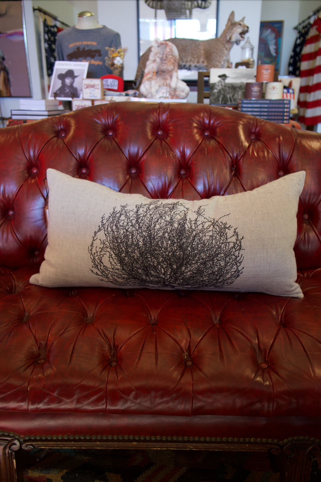 Tumbleweed Oblong Pillow